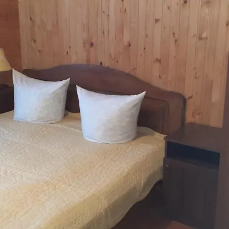 Guest house Raduga Karpat