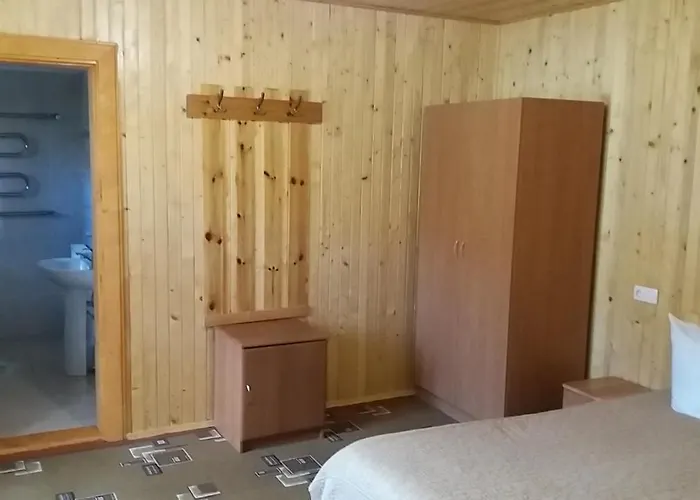 Raduga Karpat Гостевой дом *