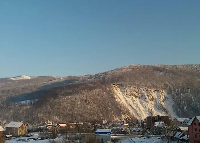 Гостевой дом Raduga Karpat *