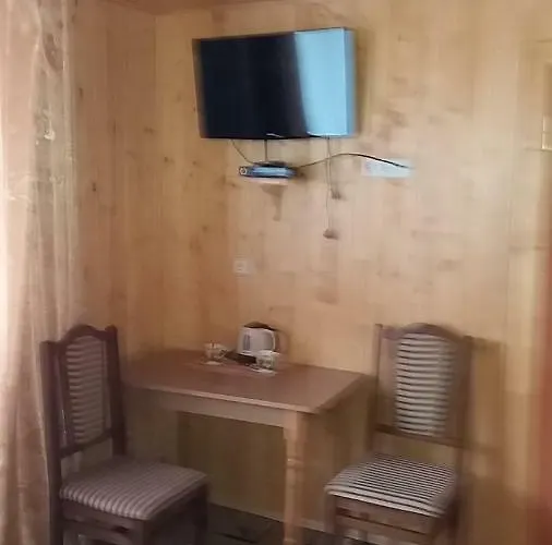 Raduga Karpat Pensión *